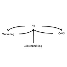 E-commerce customer